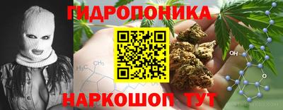 дурь Тула